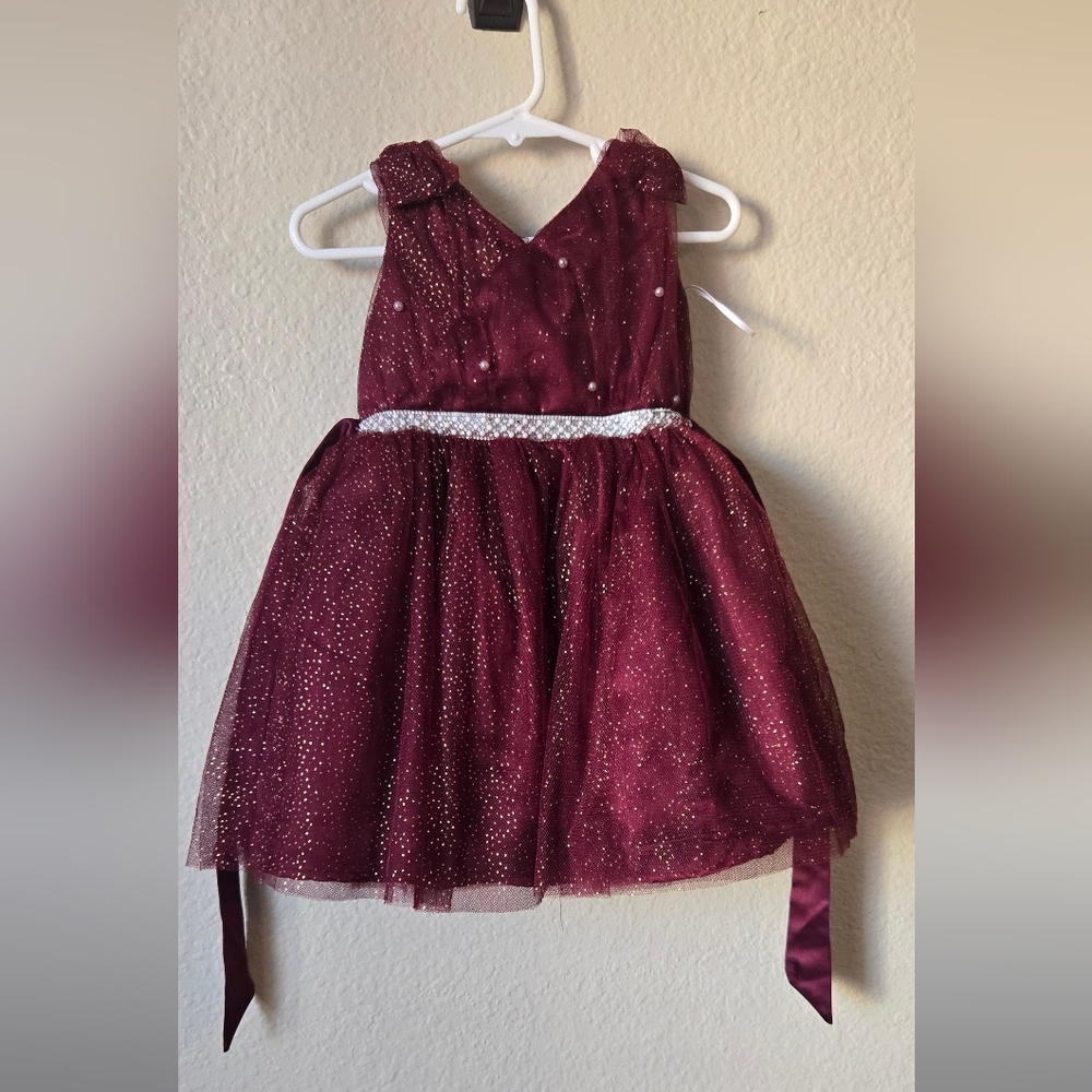 Harlow and Rose Sparkling Burgundy Tulle Dress 18M With Hello Kty #40